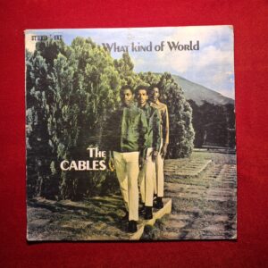 THE CABLES - What kind of world - STUDIO 1